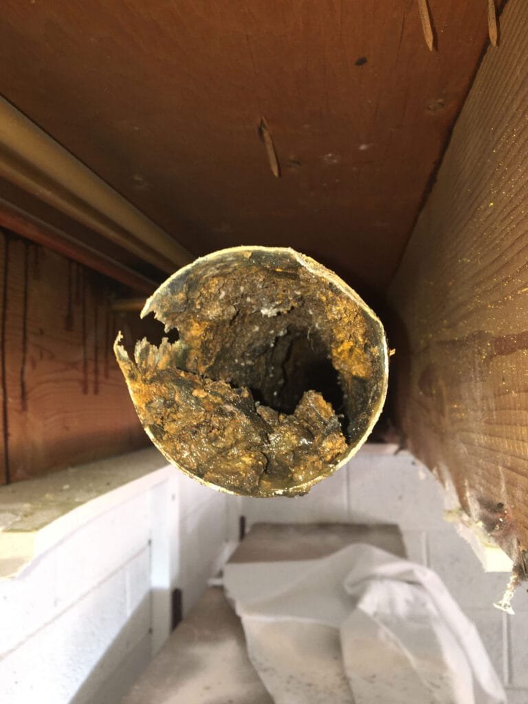 Professional Sewer Line Repair in Castle Rock: Trusted Solutions by Plumberoos